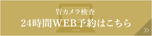 胃カメラ検査 24時間WEB予約はこちら