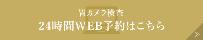 胃カメラ検査 24時間WEB予約はこちら