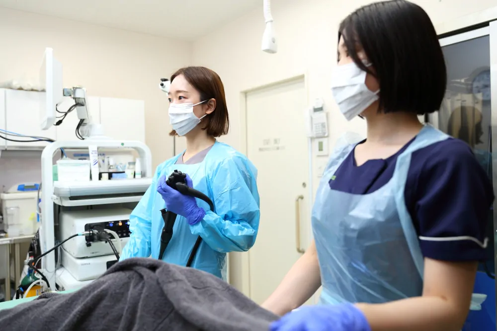 過敏性腸症候群（IBS）や機能性胃腸症（FD）の診断