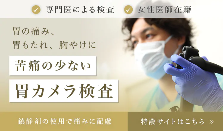 胃カメラLP