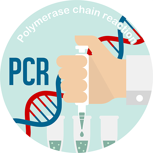 PCR検査